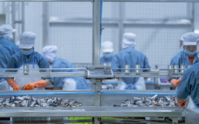 Factory 4.0: How to start your transformation in 4 simple steps